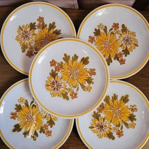 Vintage 70's Premiere dinner plates